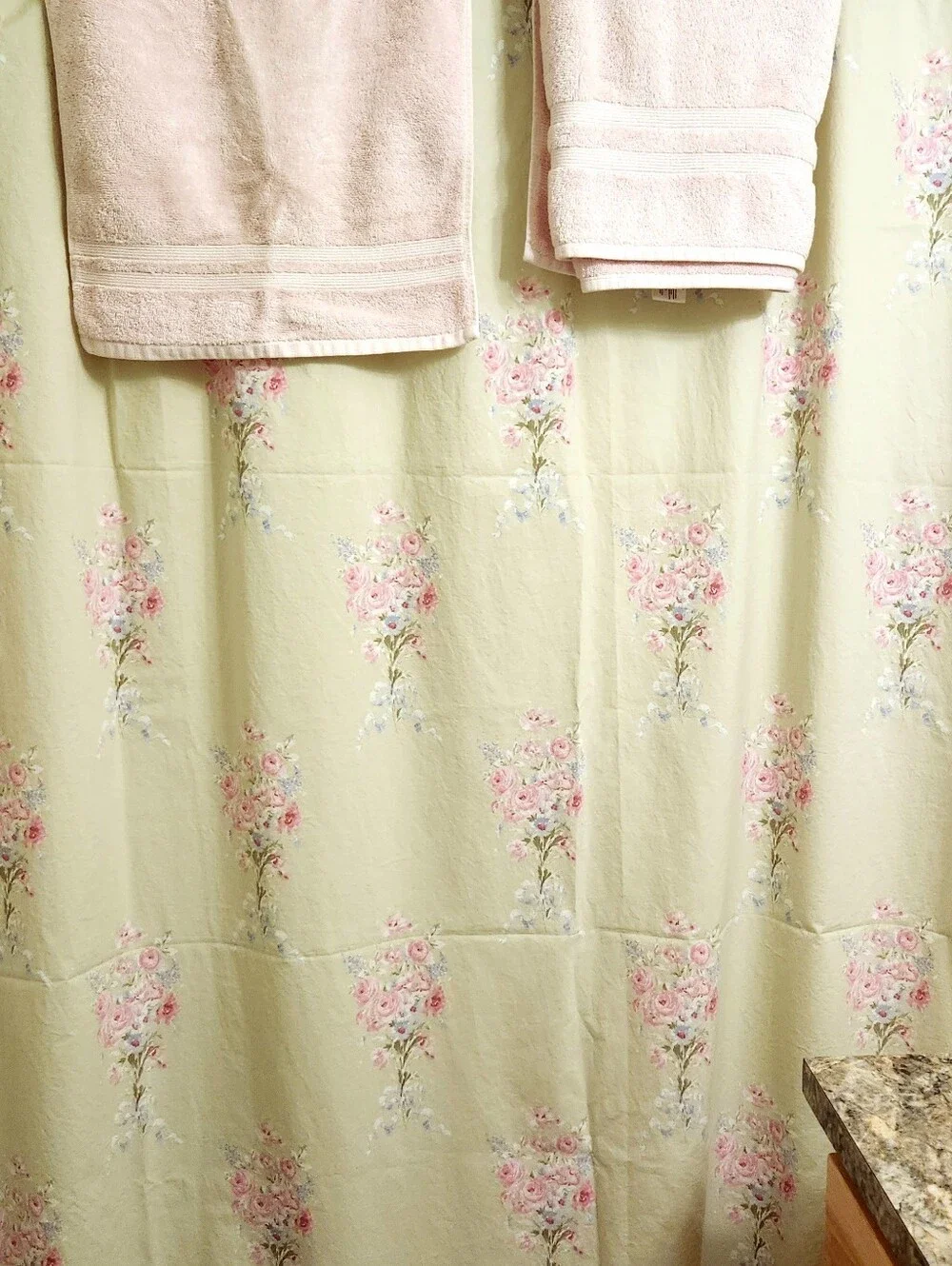 Rachell Ashwell Simply Shabby Chic Bramble Rose Shower Curtain & Towel Set